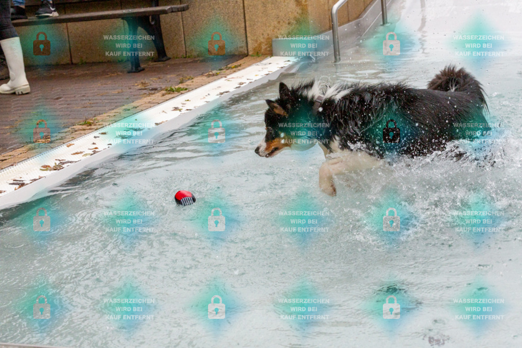 _HP_7442_1000o | HetPix, HetPix Fotodesign, Fotografie, Fotodesign, Webshop, Sportfotografie, Portraitfotografie, Onlineshop, Sportfotografie, Polch, Motorsportfotografie, Eventfotografie