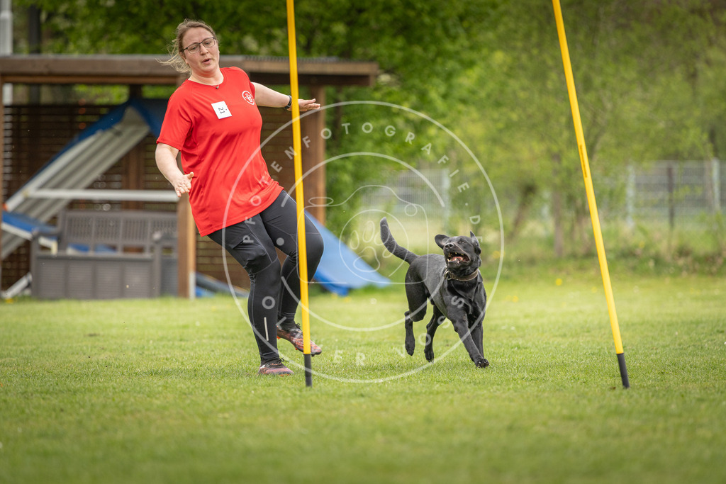 Pfotenfotografie_DV3A9959 | Hundefotografie, Tierfotograf, Pfotenfotografie, Fotoshooting Hund, Hunde Portrait, Hundesport, Hundeportraits, Heideshooting, Hunde, Sportfotograf, Hundefotograf, Turnierhundsport, THS,  - Realisiert mit Pictrs.com