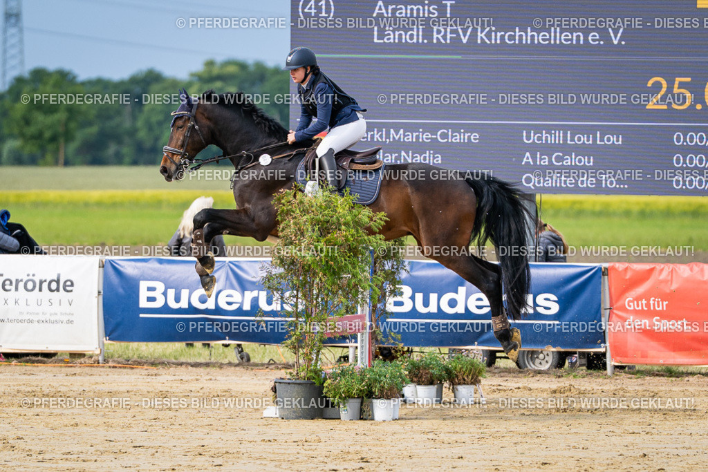 DSC03652 | Pferdegrafie