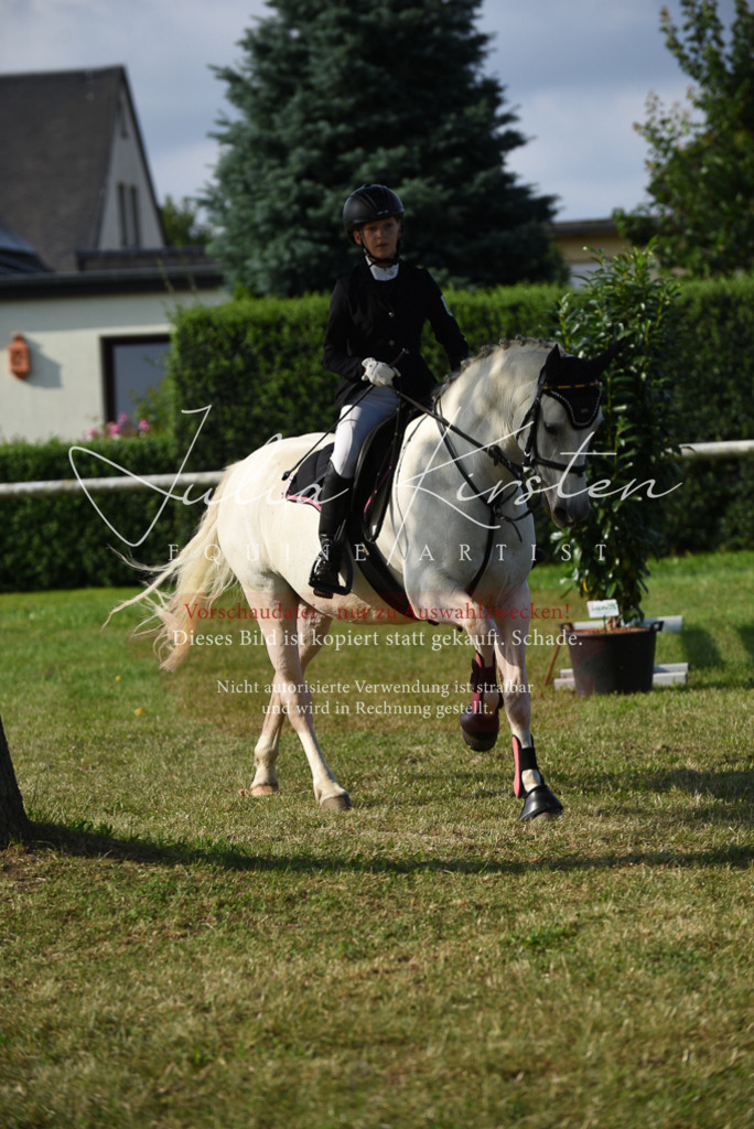 DSC_8657 | Pferde- und Turnierfotografie in Westsachsen. Pferdeportraits, Auftragszeichnungen und intuitive Kunst.