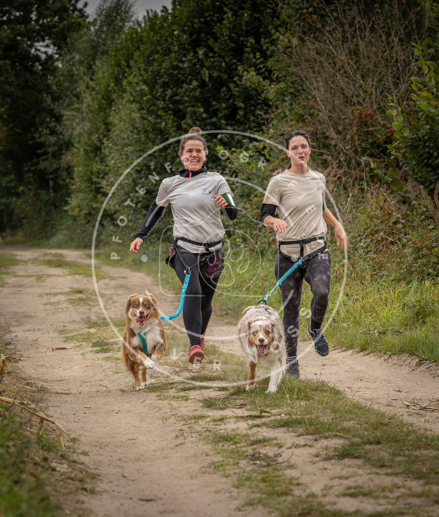 Pfotenfotografie_DV3A8505 | Hundefotografie, Tierfotograf, Pfotenfotografie, Fotoshooting Hund, Hunde Portrait, Hundesport, Hundeportraits, Heideshooting, Hunde, Sportfotograf, Hundefotograf, Turnierhundsport, THS,  - Realisiert mit Pictrs.com