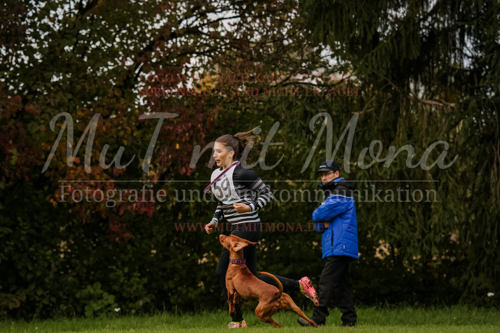 20251005_THS_Turnier-716 | MuT (Mensch und Tier) mit Mona - Fotografie und Tierkommunikation - Realisiert mit Pictrs.com