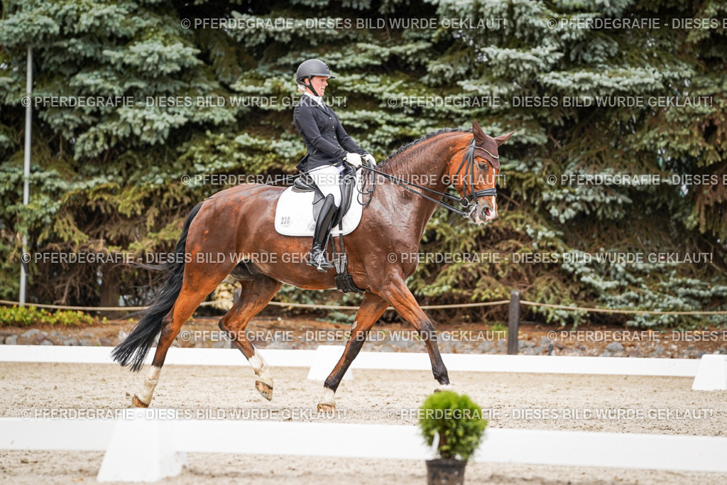 DSC06538 | Pferdegrafie