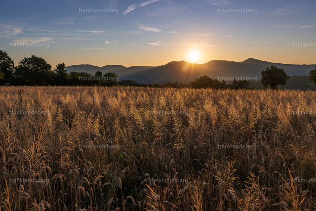 Sonnenaufgang über dem Siebengegirge | Sonnenaufgang über dem Siebengebirge - Realisiert mit Pictrs.com