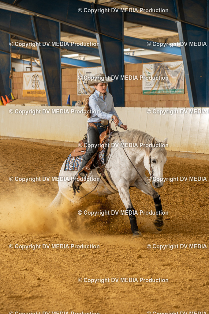 MIT01346 | dv-media-shop - Realisiert mit Pictrs.com