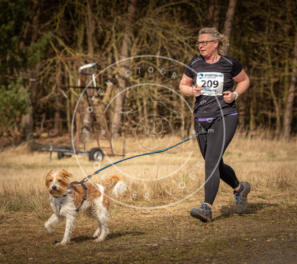 DV3A5557 | Hundefotografie, Tierfotograf, Pfotenfotografie, Fotoshooting Hund, Hunde Portrait, Hundesport, Hundeportraits, Heideshooting, Hunde, Sportfotograf, Hundefotograf, Turnierhundsport, THS,  - Realisiert mit Pictrs.com