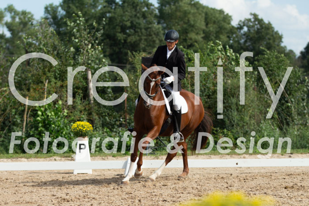 IMG_3350 | Creatify Fotografie