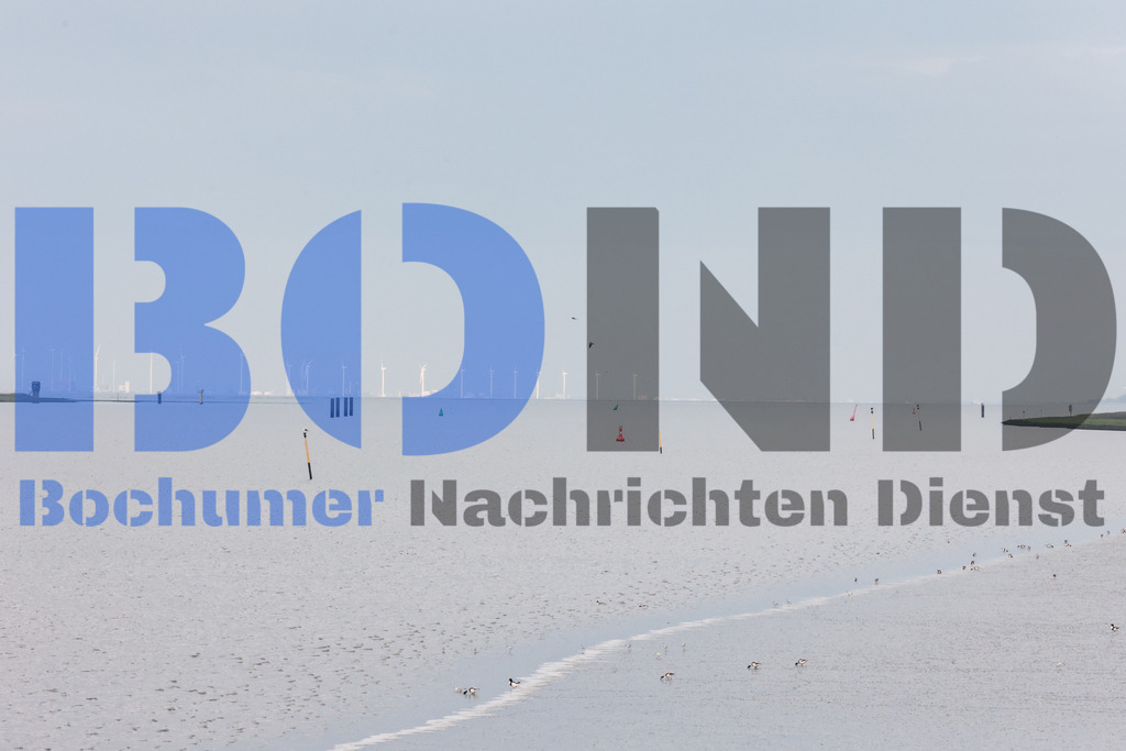 SES_EMDDIS20250920-2 | bond - Realisiert mit Pictrs.com