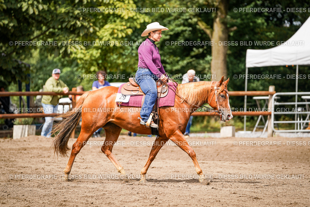 DSC07056 | Pferdegrafie