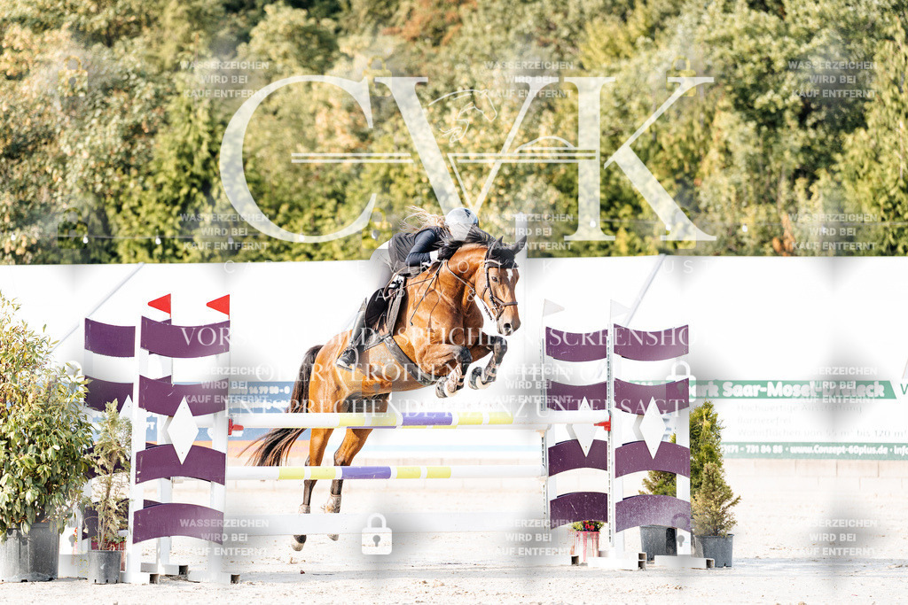 CK903271 | Turnierfotografie Pferdefotografie Trier Rheinland-Pfalz Pferdesport Reitsport Tierfotografie Sportfotografie Pferdevideo Pferdevideografie Equestrianvideography equestrianphotography  - Realisiert mit Pictrs.com