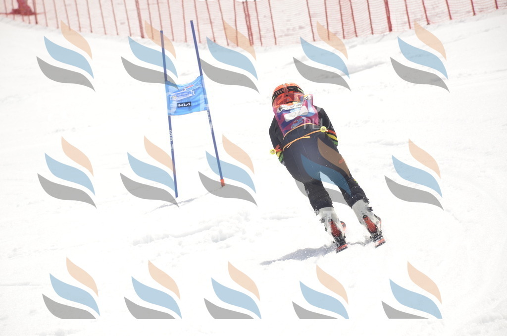 _ELE9140 | holidayphoto