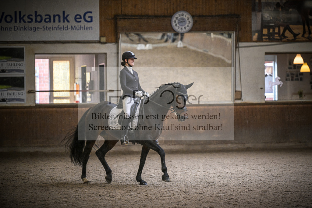 DOS_0354 | Entdecke hochwertige Reitturnierfotos von Foto Oger. Professionell, emotional und authentisch – jetzt Lieblingsmomente im Shop bestellen.Deutschlandweite Turnierfotografie. - Realisiert mit Pictrs.com