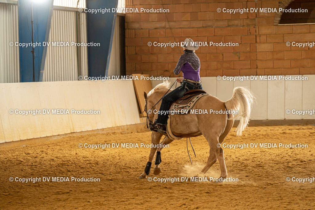 MIT01355 | dv-media-shop - Realisiert mit Pictrs.com