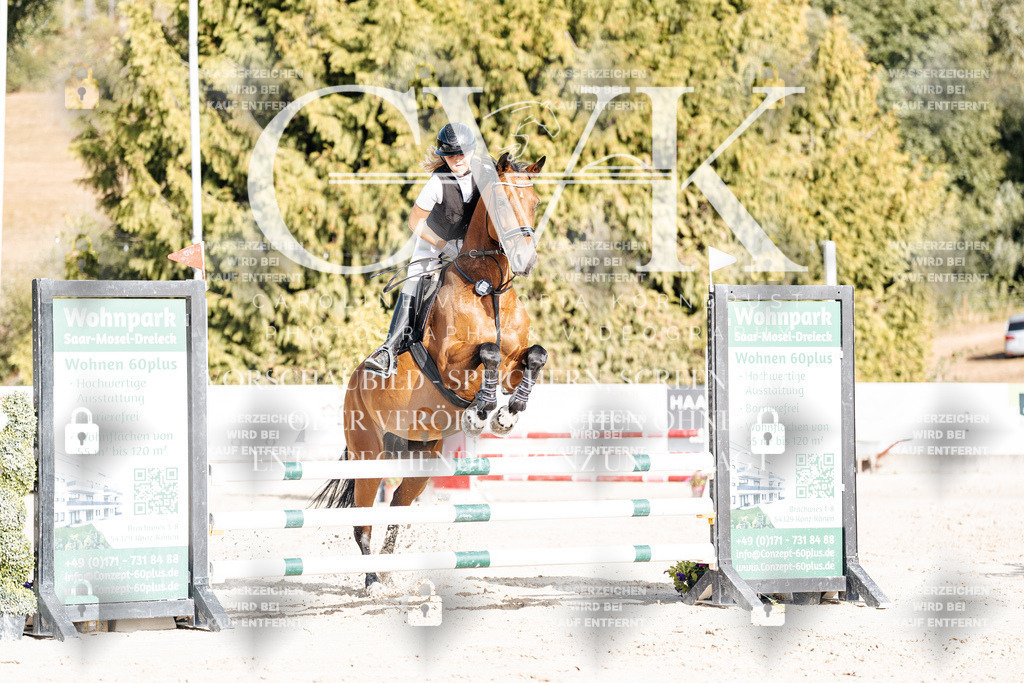 CK909473 | Turnierfotografie Pferdefotografie Trier Rheinland-Pfalz Pferdesport Reitsport Tierfotografie Sportfotografie Pferdevideo Pferdevideografie Equestrianvideography equestrianphotography  - Realisiert mit Pictrs.com