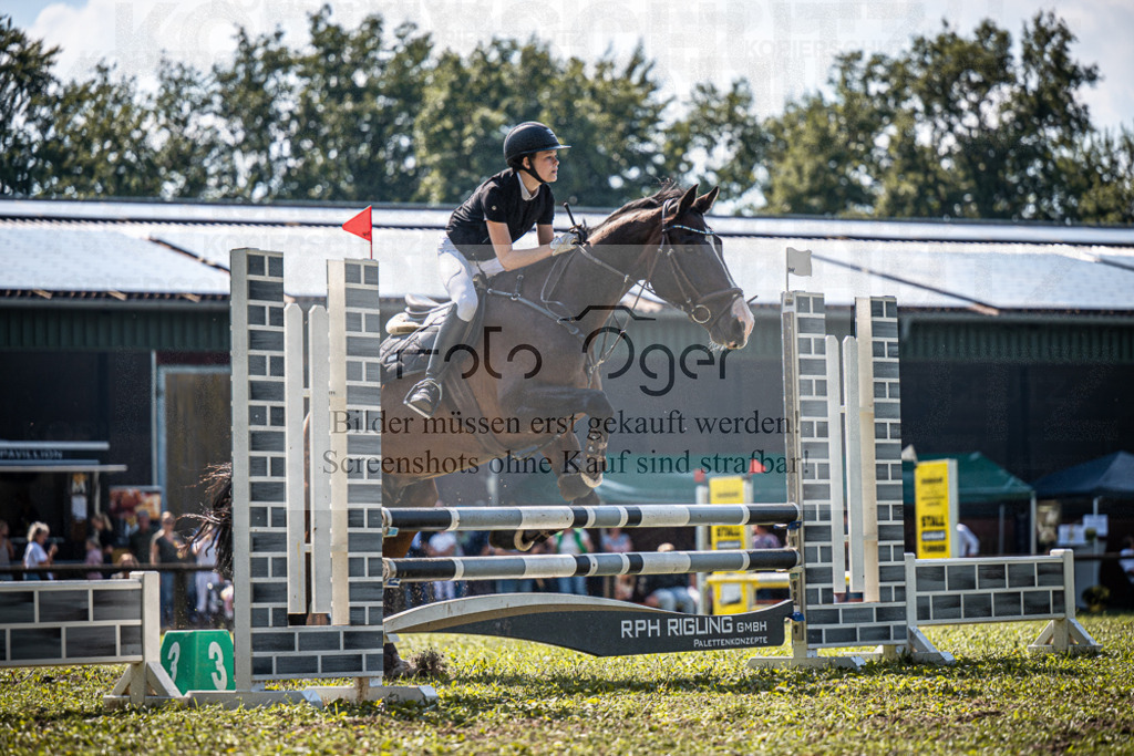 Z63_0204 | Entdecke hochwertige Reitturnierfotos von Foto Oger. Professionell, emotional und authentisch – jetzt Lieblingsmomente im Shop bestellen.Deutschlandweite Turnierfotografie. - Realisiert mit Pictrs.com