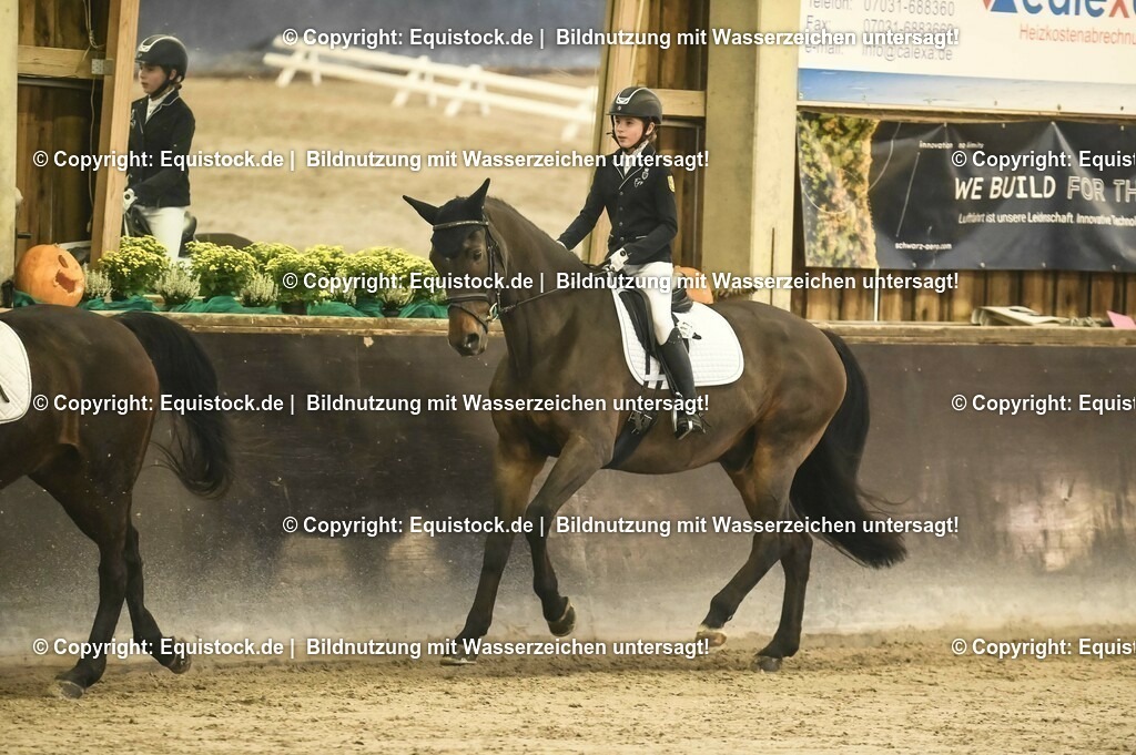 20231029_04_Dressur-WB_0238 | Foto: Thomas Hartig