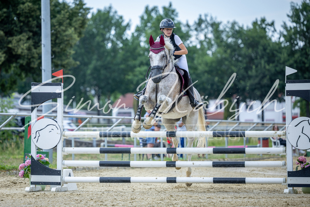 20260704-_3LI1351 | Tierfotografie Pferde, Hunde, Katzen, Haustiere.
Turnierfotografie Reitturniere, Reiten, Springreiten, Dressur in Hanau, dem Main-Kinzig-Kreis und dem Rhein-Main- Gebiet um Frankfurt
