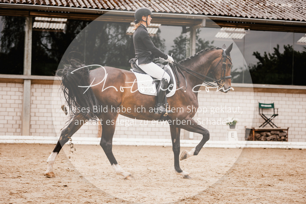 3I6A7819 | Stimmungsvolle Portraits und Reitsportfotografie im Ruhrgebiet und im Münsterland.

Pferdefotografie, Hundefotografie, Tierfotografie, Reportagen, Portraits von Tier und Mensch, Turnierfotografie in Bochum, Recklinghausen, Marl, Haltern am See, Dülmen.. - Realisiert mit Pictrs.com