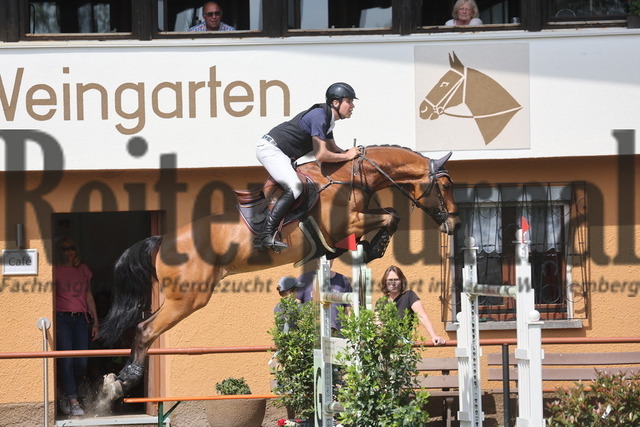 Weingarten_2024_Prfg.Nr.01_Springprüfung_Kl.S_Sebastian Kirst_Cricket 11 (13) | Alle Fotos der Reiterjournal Fotografin Doris Matthaes im Reiterjournal Online-Fotoshop. - Realisiert mit Pictrs.com