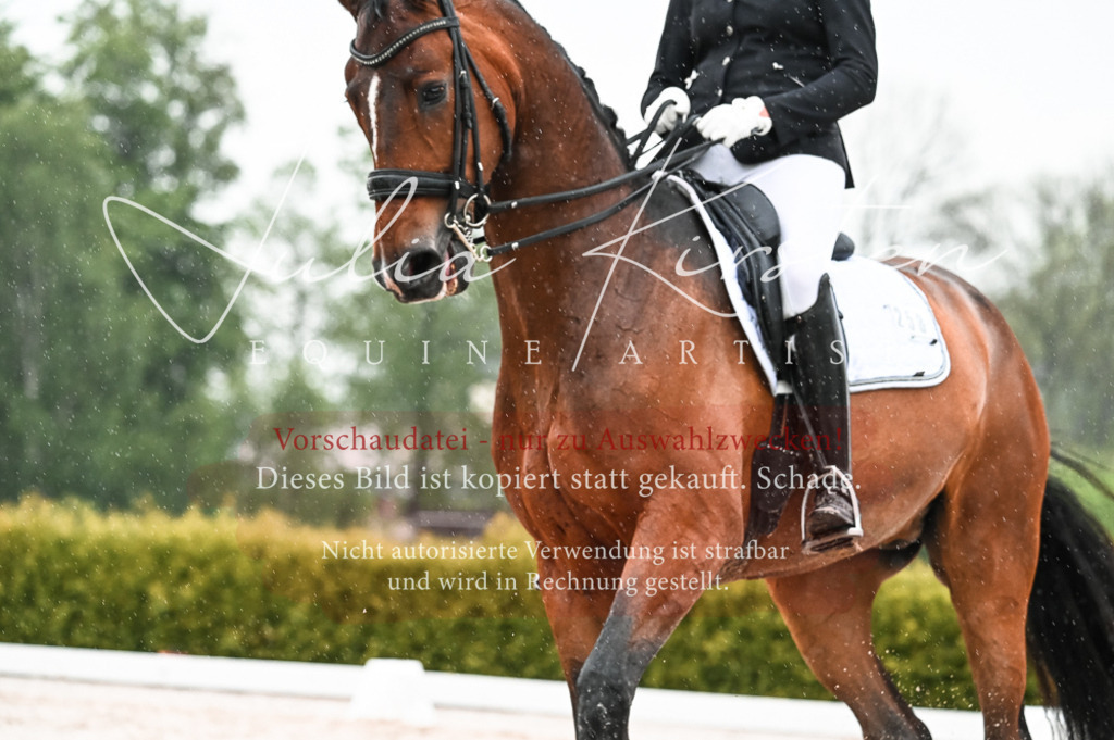 DSC_4599 | Pferde- und Turnierfotografie in Westsachsen. Pferdeportraits, Auftragszeichnungen und intuitive Kunst.