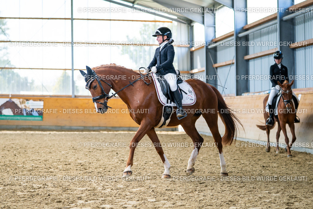 DSC05170 | Pferdegrafie