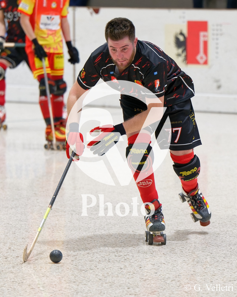 DSC_7562 | Velletri Photo