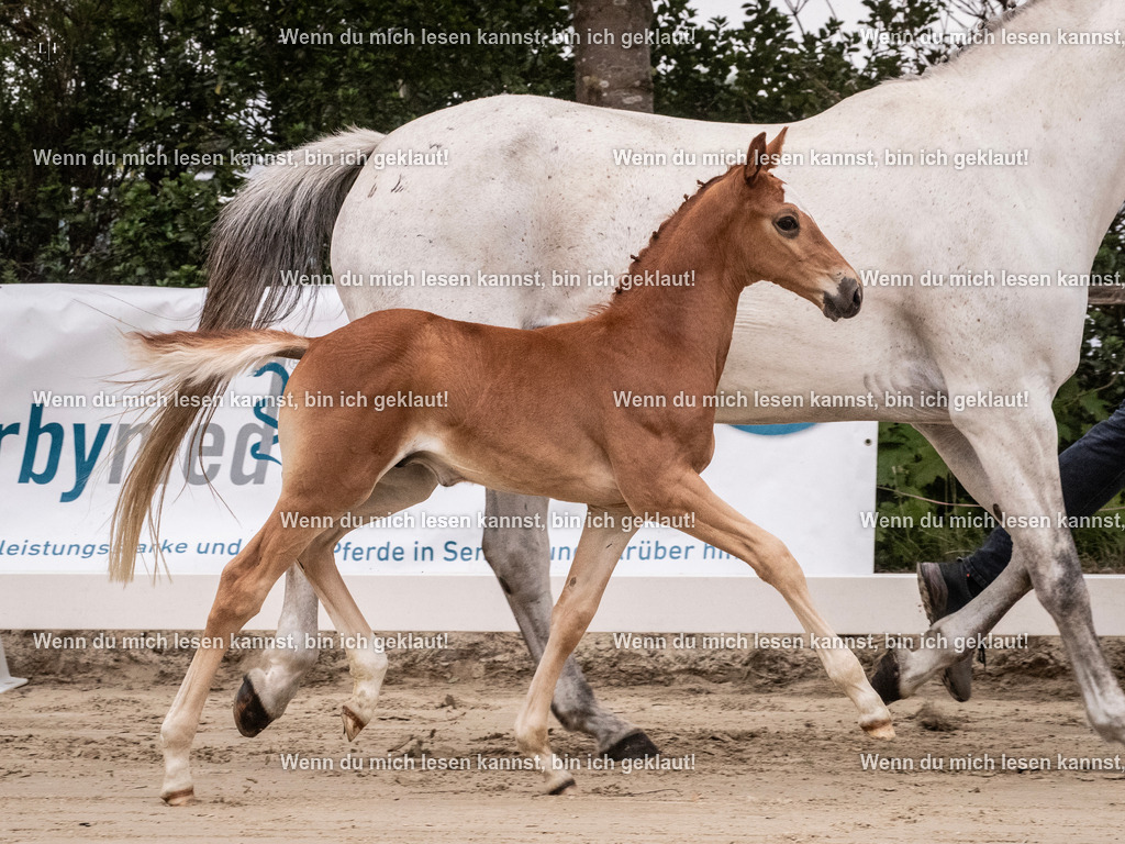 A10I9499 | photographylinaismer - Realisiert mit Pictrs.com