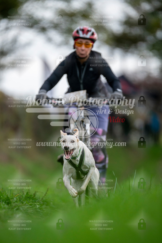 TSB_2023_E8_Bike-59 | PayLife