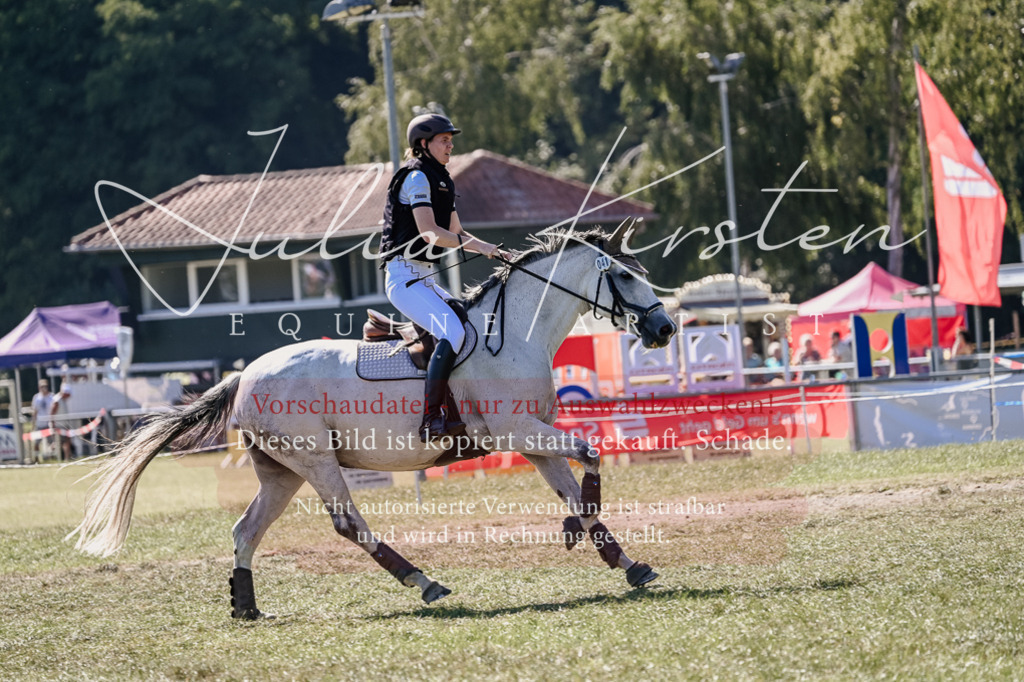 DSC_2851 | Pferde- und Turnierfotografie in Westsachsen. Pferdeportraits, Auftragszeichnungen und intuitive Kunst.