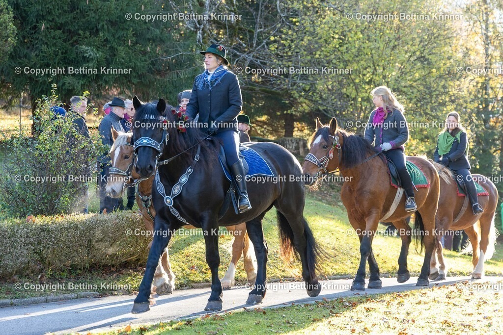 LL24-160 | foto-bettina-krinner - Realisiert mit Pictrs.com