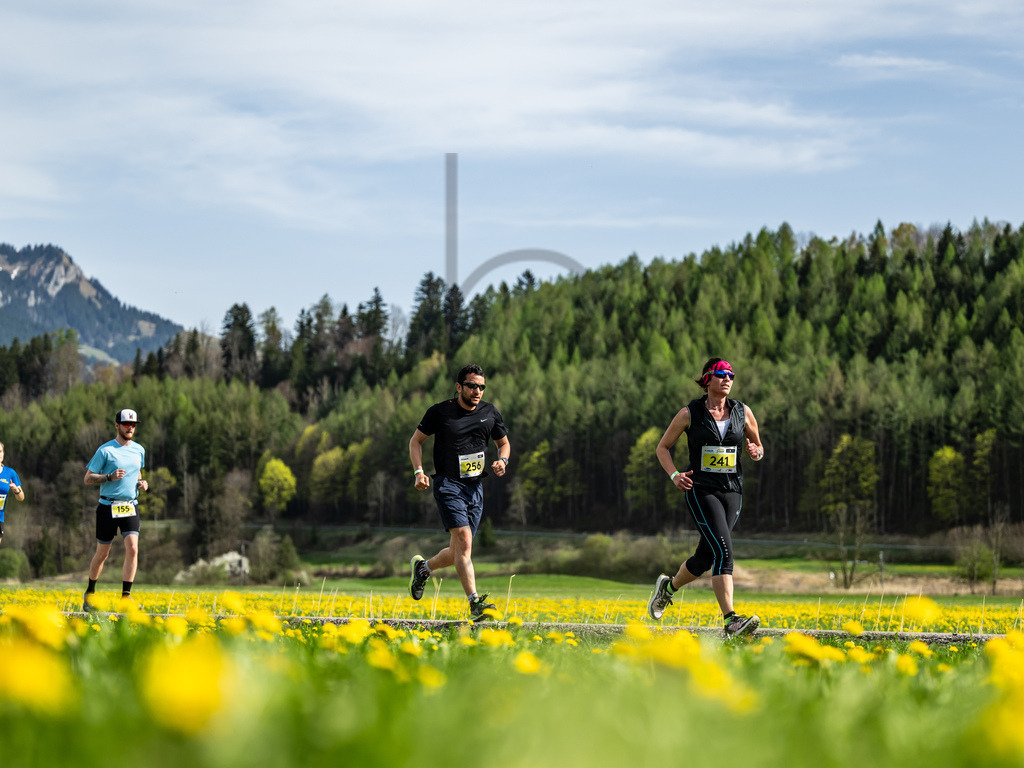 Frühlingslauf 2024 | Frühlingslauf 2024 am 07.04.2024 in Sonthofen. 



(Foto: Dominik Berchtold/www.dberchtold.com)