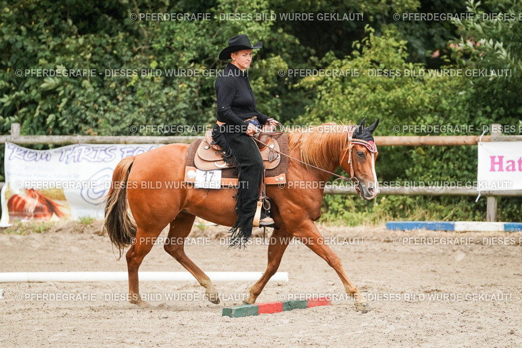 DSC08089 | Pferdegrafie