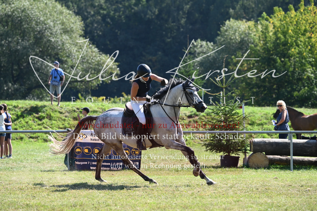 DSC_6369 | Pferde- und Turnierfotografie in Westsachsen. Pferdeportraits, Auftragszeichnungen und intuitive Kunst.