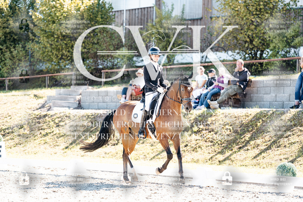 CK909276 | Turnierfotografie Pferdefotografie Trier Rheinland-Pfalz Pferdesport Reitsport Tierfotografie Sportfotografie Pferdevideo Pferdevideografie Equestrianvideography equestrianphotography  - Realisiert mit Pictrs.com