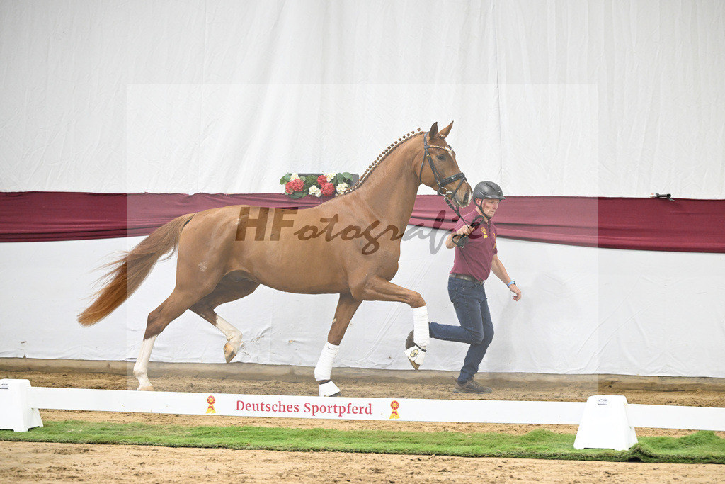 Kat-Nr. 22 Secret x Revolution_Gestuet Greim_47250609 | hf-fotografie - Realisiert mit Pictrs.com