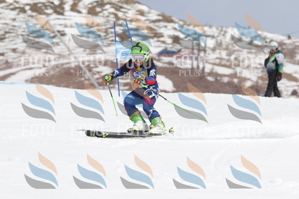 _U3G2173 | holidayphoto