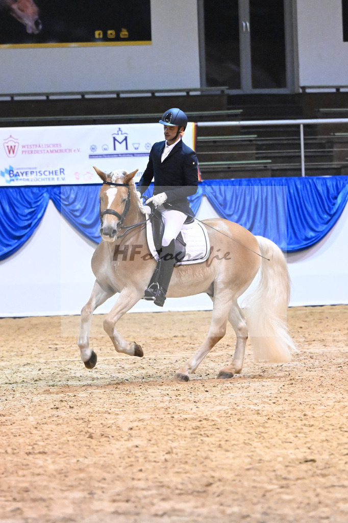 Schauprogramm_54222631 | hf-fotografie - Realisiert mit Pictrs.com