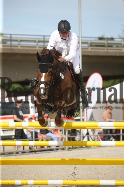 Achern_2022_Springen_Kl.S_m.St._Christian Pfeifer_Lollita 3 (9) | Alle Fotos der Reiterjournal Fotografin Doris Matthaes im Reiterjournal Online-Fotoshop. - Realisiert mit Pictrs.com