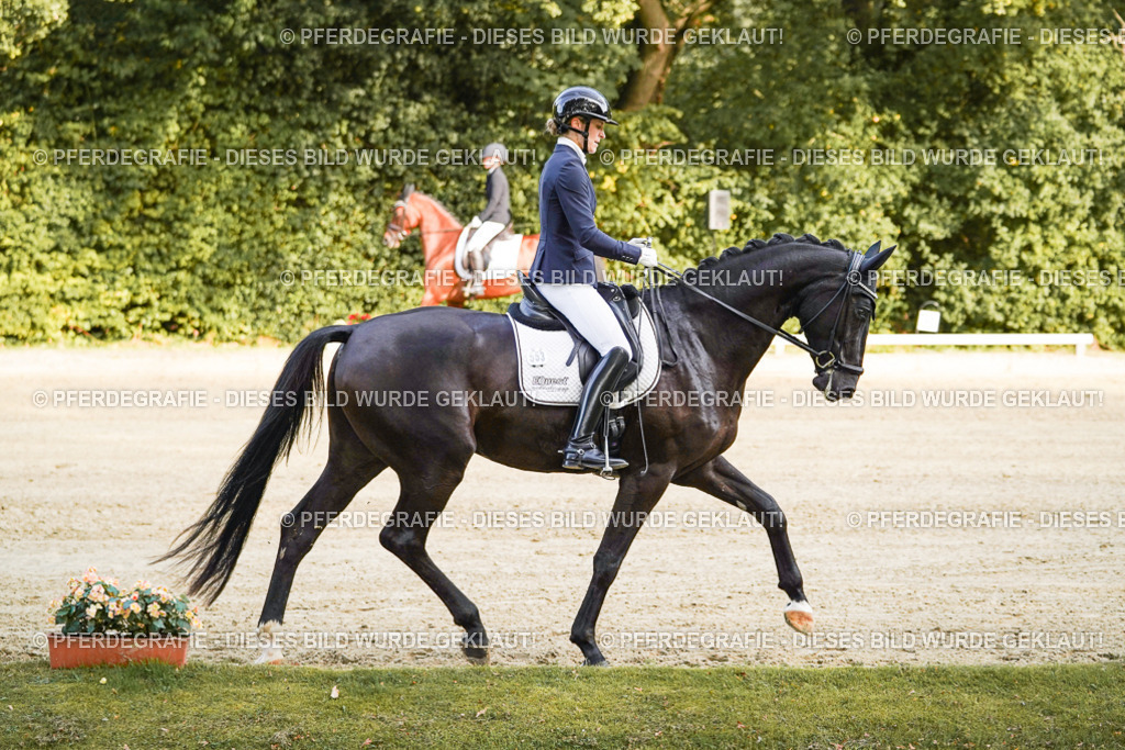 DSC04744 | Pferdegrafie