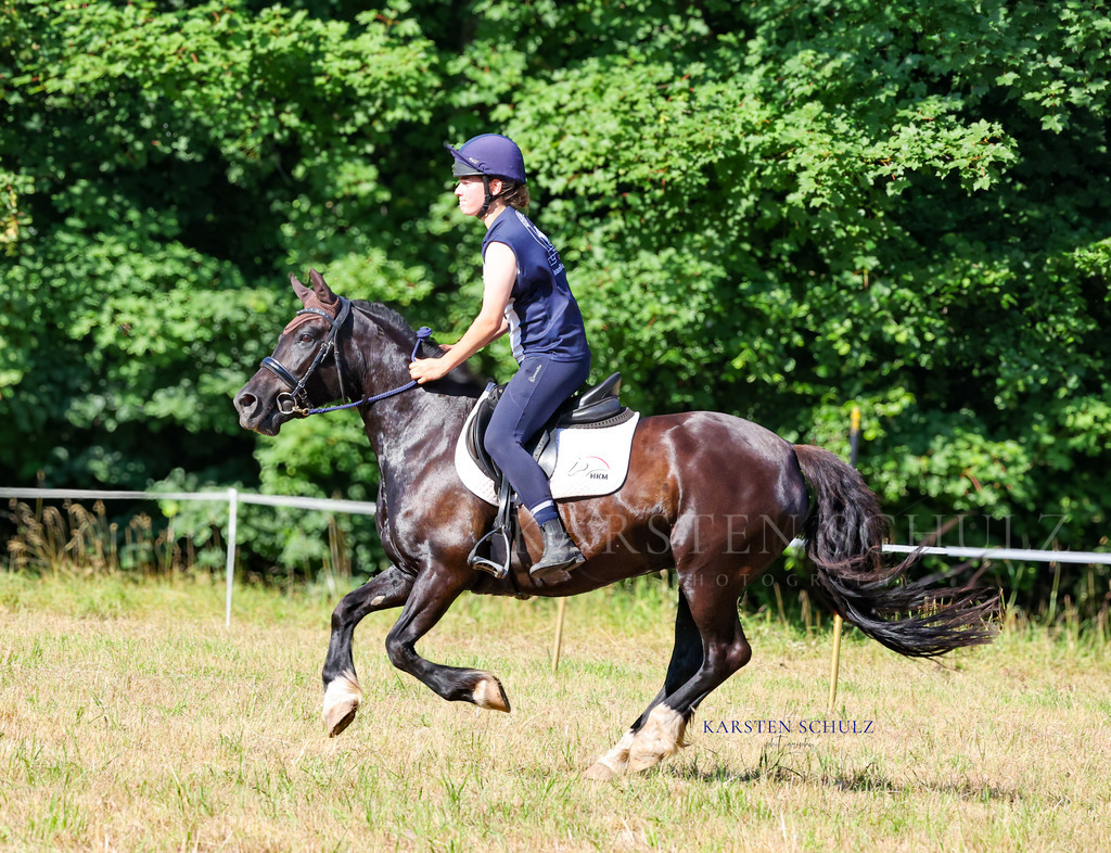 1B3A8280 | Reitsport Reiten