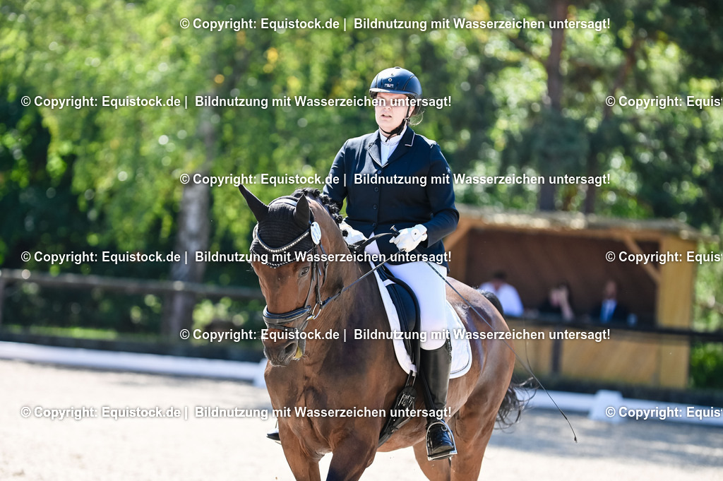 20230908_06_Dressur-L-Trense_0535 | equistock