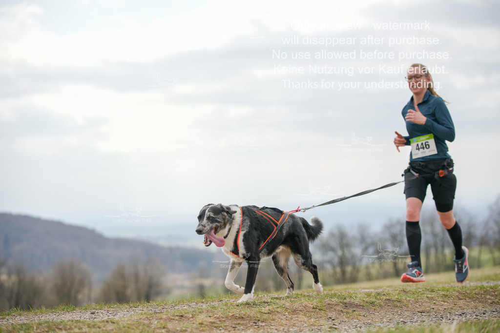 CaniXRunSA-291 | stephaniefillaphotographie - Realisiert mit Pictrs.com