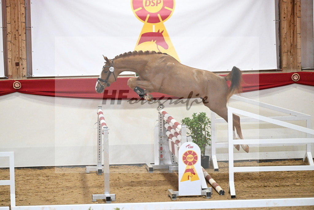 Kat.-Nr. 35 v. Ogano Sitte_Hannöver_2251262 | hf-fotografie - Realizzato con Pictrs.com