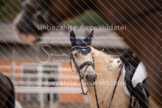 SD_OED_08288 | saradresslerfotografie - Realisiert mit Pictrs.com