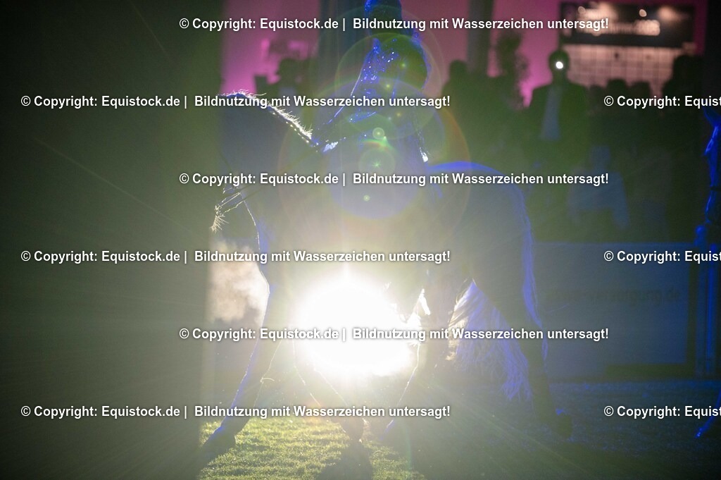 20250606_Lange-Pferdenacht_1491 | Foto: Thomas Hartig