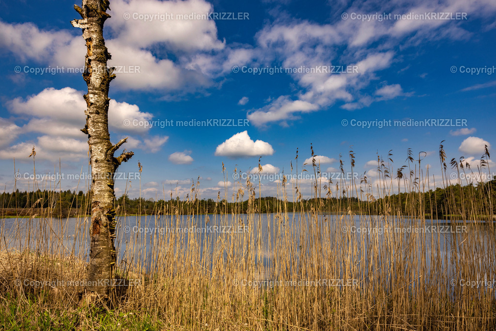 Schönramer Filz | medienkrizzler - Realisiert mit Pictrs.com