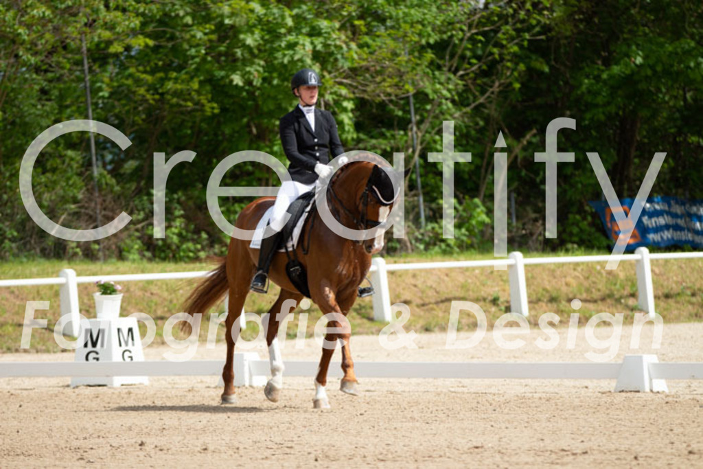 IMG_6403 | Creatify Fotografie