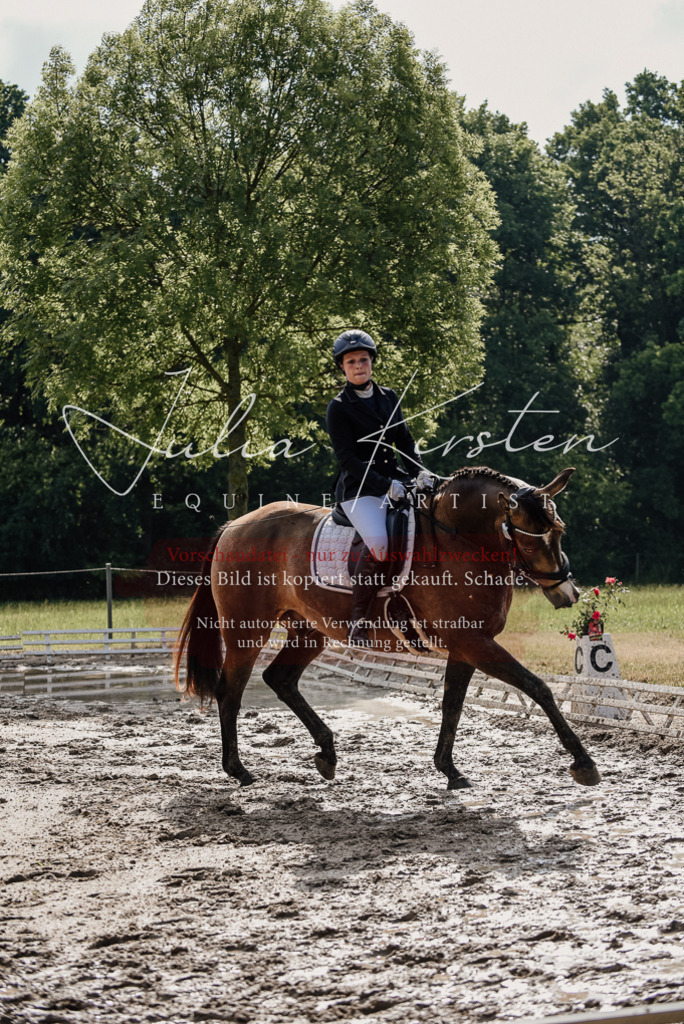 DSC_9236 | Pferde- und Turnierfotografie in Westsachsen. Pferdeportraits, Auftragszeichnungen und intuitive Kunst.