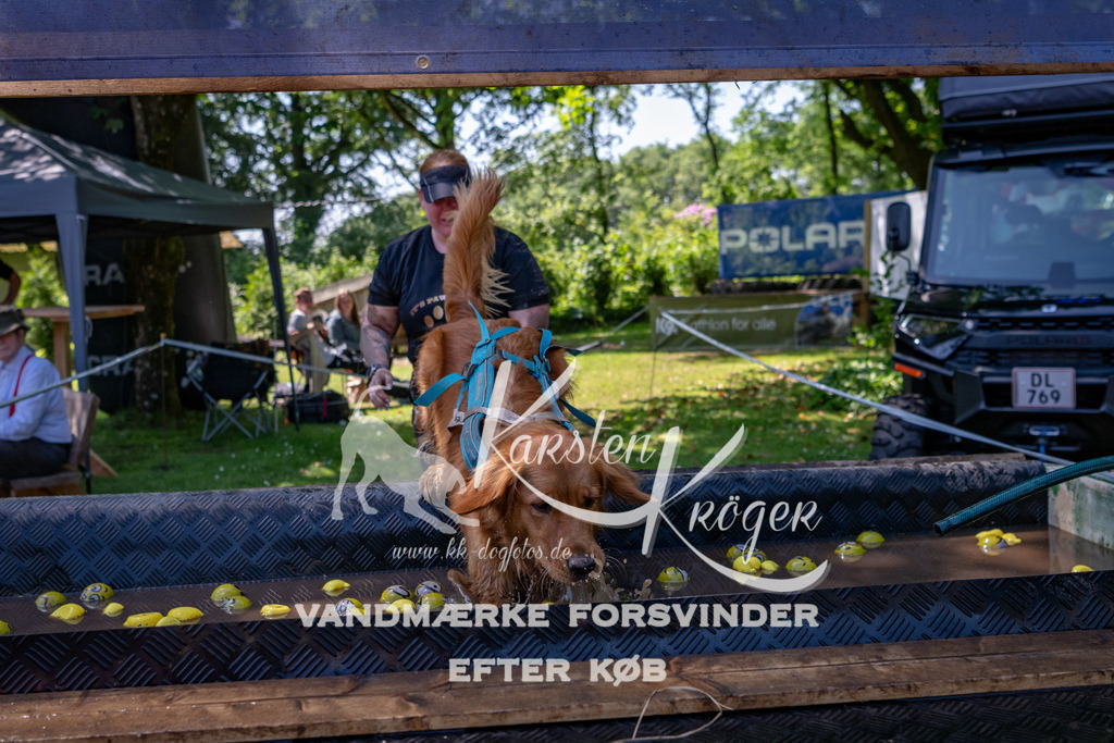 1318_ZZ90989 | kk-dogfotos