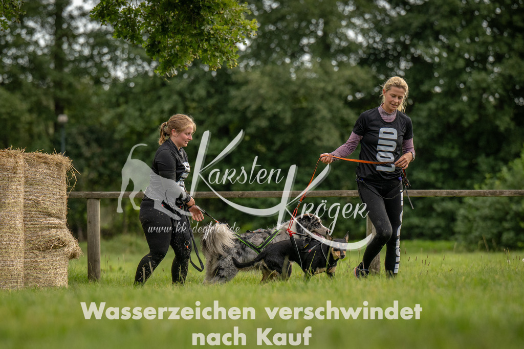 1018_ZZ91145 | kk-dogfotos